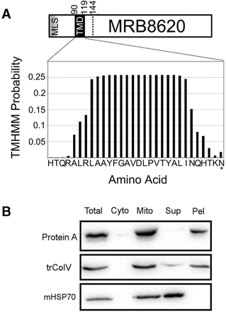 FIGURE 1.