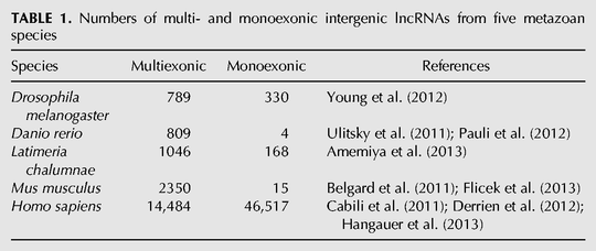 TABLE 1.