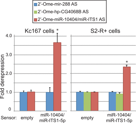 FIGURE 4.
