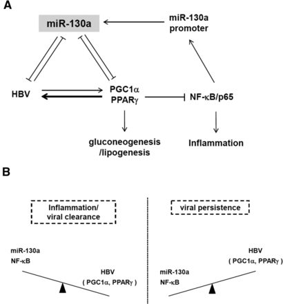 FIGURE 10.