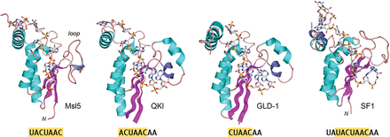 FIGURE 4.