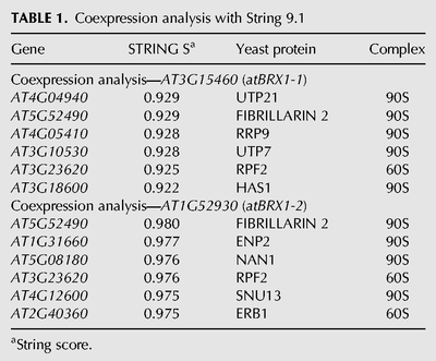 TABLE 1.
