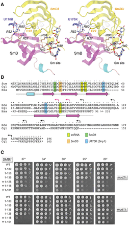 FIGURE 5.