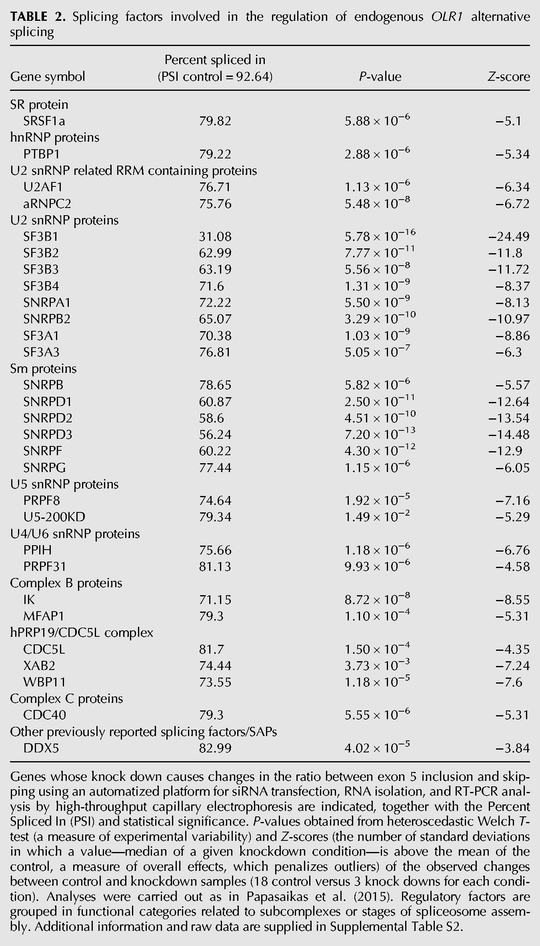 TABLE 2.