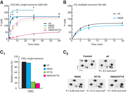 FIGURE 2.