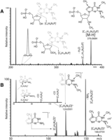 FIGURE 3.