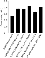 FIGURE 3.