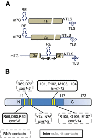 FIGURE 1.
