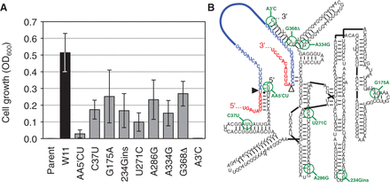FIGURE 3.