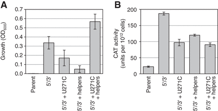 FIGURE 4.