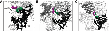 FIGURE 7.