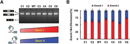FIGURE 4.
