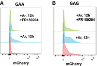 FIGURE 4.