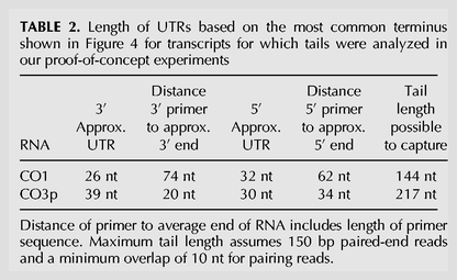 TABLE 2.