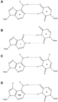 FIGURE 1.
