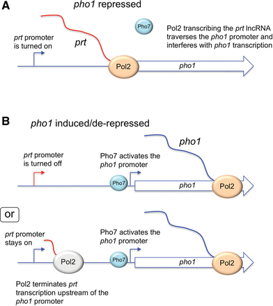 FIGURE 14.