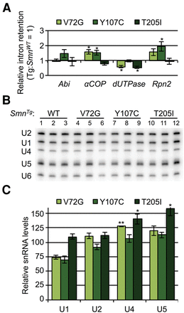 FIGURE 7.
