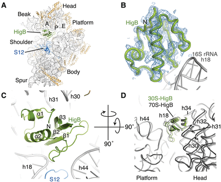 FIGURE 2.