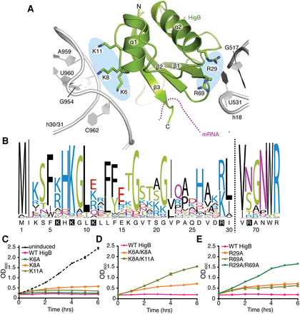 FIGURE 4.