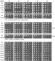 FIGURE 2.