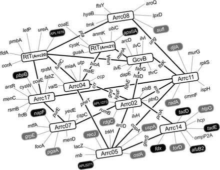 FIGURE 6.