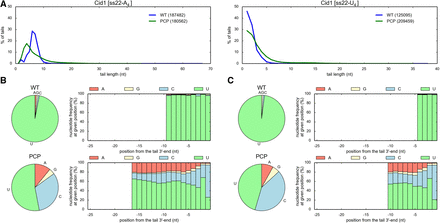 FIGURE 14.