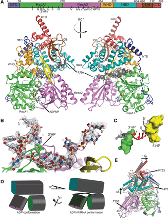 FIGURE 1.