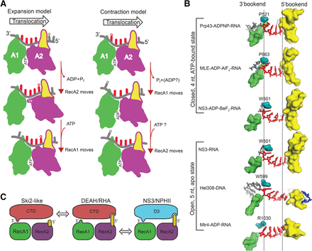 FIGURE 6.