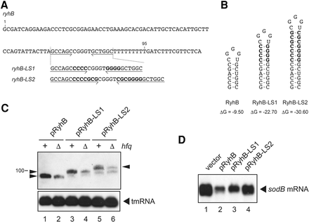 FIGURE 7.