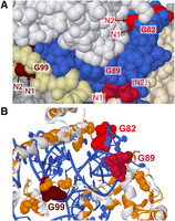 FIGURE 4.