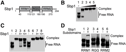 FIGURE 1.