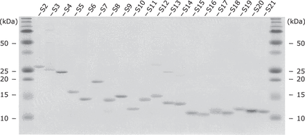 FIGURE 1.