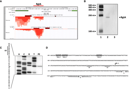 FIGURE 1.