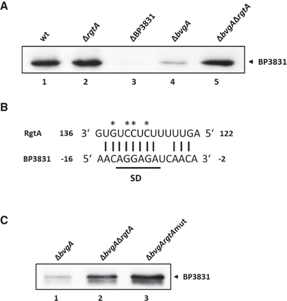 FIGURE 4.