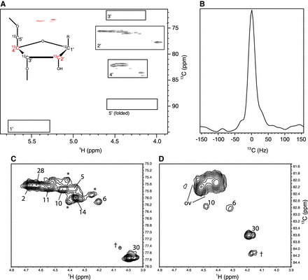 FIGURE 3.