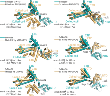 FIGURE 4.
