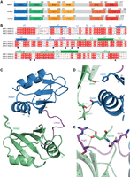 FIGURE 1.