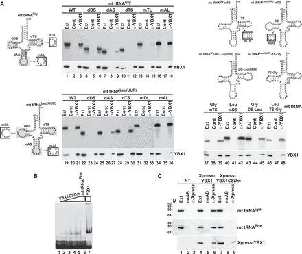 FIGURE 4.