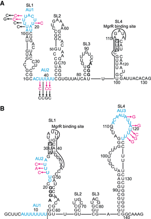 FIGURE 10.