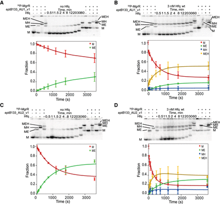 FIGURE 11.