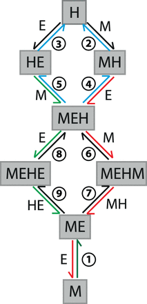 FIGURE 4.