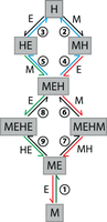 FIGURE 4.