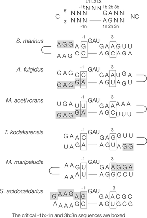 FIGURE 1.