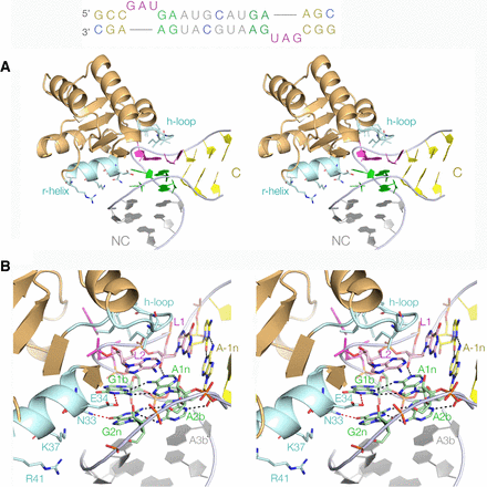 FIGURE 3.