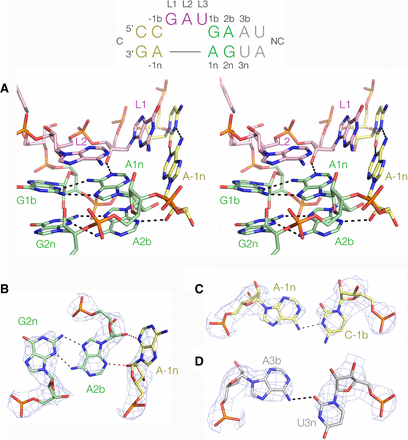 FIGURE 4.