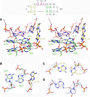 FIGURE 4.