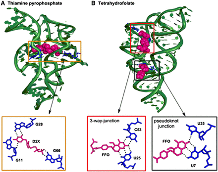 FIGURE 10.