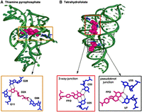 FIGURE 10.