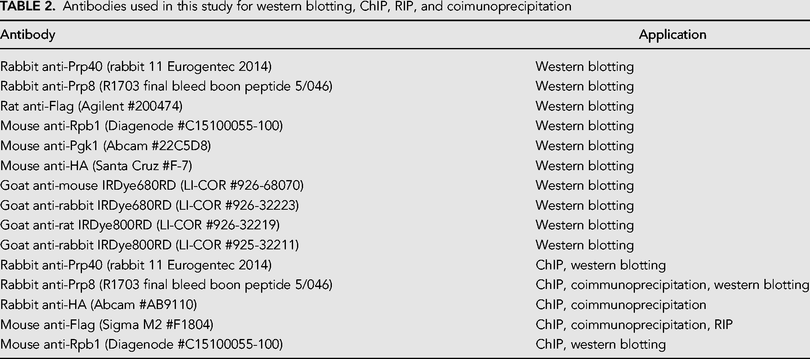 TABLE 2.