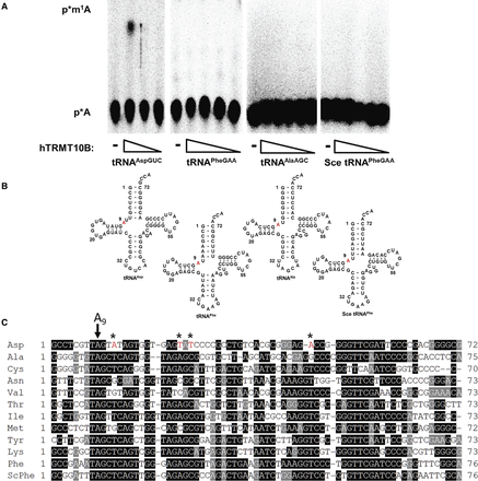 FIGURE 4.